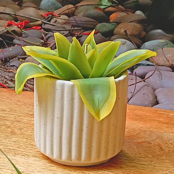 Succulent Botanical Wax Bloom ~ Whispering Foliage Collection