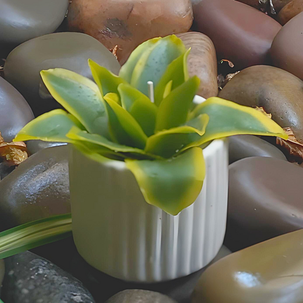 Succulent Botanical Wax Bloom ~ Whispering Foliage Collection